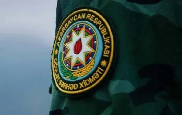 Başqalarının sənədləri ilə sərhədi keçmək istədilər