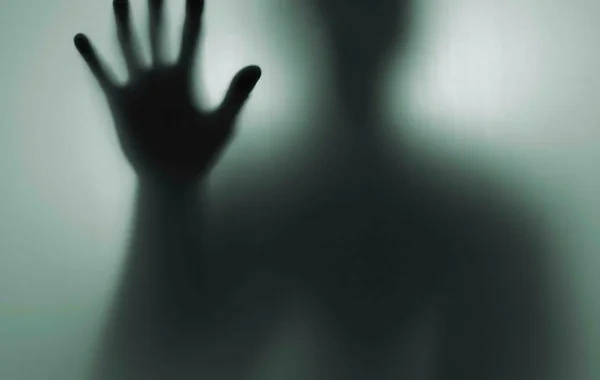 Ölən insanın həyatdakı yaxınları ilə "əlaqə yaratmaq" cəhdləri müəyyən edilib - SORĞU