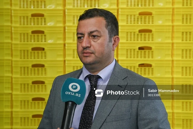 Azərbaycanda yarım milyondan çox ağacın kəsilməsinin qarşısı alınıb