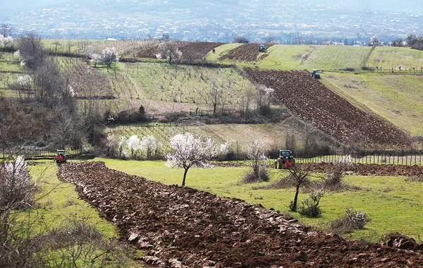 Gürcüstanda bəzi azərbaycanlıların əmlakı məcburi qaydada müsadirə olunacaq
