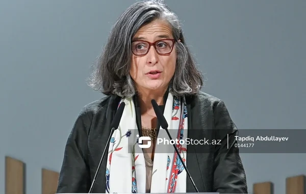 BMT rəsmisi: "Dünyada şəhərləşmə təbiəti "udmağa" başlayıb"