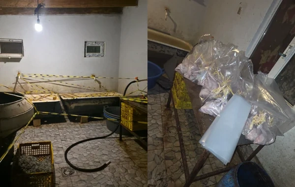 Xızıda antisanitar şəraitdə quş kəsimi və satışı edildiyi aşkarlanıb - FOTO - VİDEO