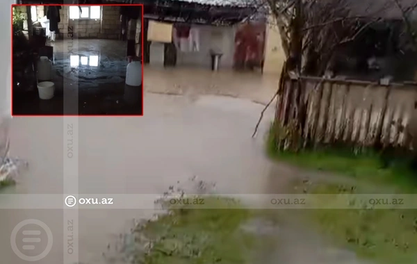 Masallıda acınacaqlı vəziyyət: Həyətləri su basdı, təsərrüfata CİDDİ ZİYAN DƏYDİ