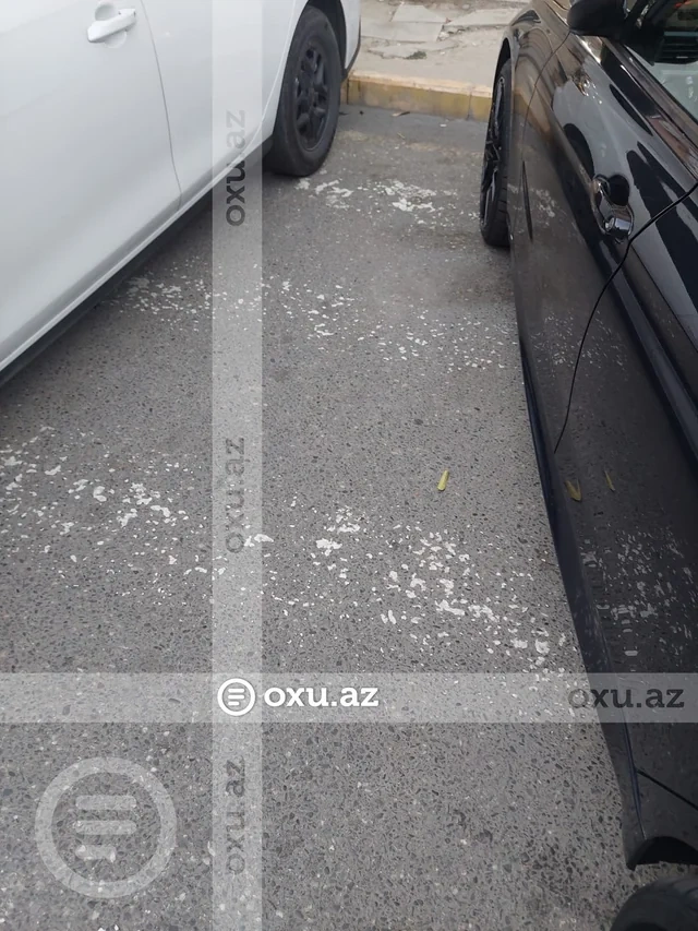 Xırdalanda məktəblilərin həyatı təhlükədə - FOTO