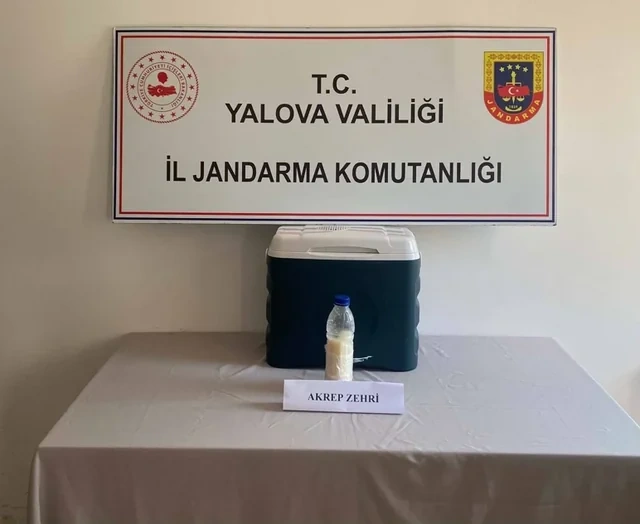 Qeyri-qanuni yollarla Türkiyəyə gətirilən 5 milyon dollarlıq şüşə: İçindən qızıldan bahalı maddə tapıldı - FOTO
