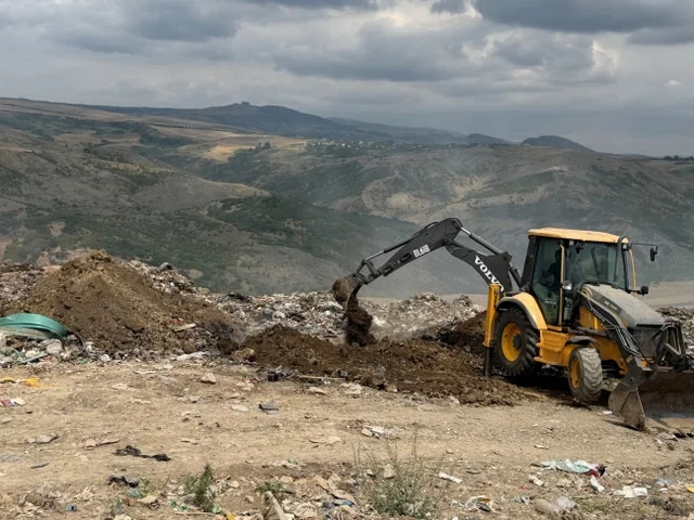 İdxal olunan nektarin tingində gavalının cibcibə virusu aşkarlanıb - FOTO