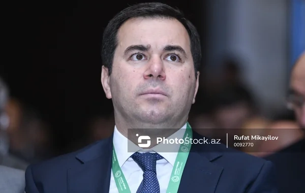 Nazir müavini: "Qarabağda yeni həyat qurulur"
