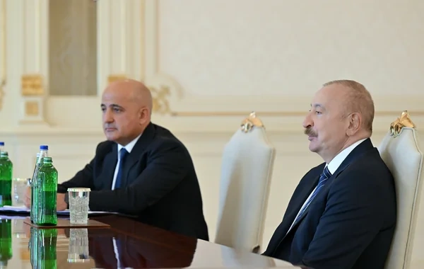 Prezident dünyanın aparıcı investisiya şirkətlərindən birinin baş icraçı direktorunu qəbul edib - FOTO