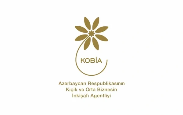 Bu ilin ötən dövründə 35 "Startap" şəhadətnaməsi verilib - FOTO