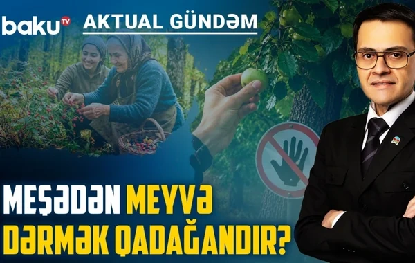 Heyvan yemlərindəki ağır dərmanlar süfrəmizə gəlir? - VİDEO