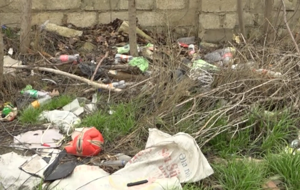 İstirahət parkı baxımsız vəziyyətdə: "Zibilin iyindən evdə yata bilmirik"