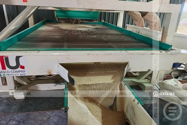 Ucarın çəltik emalı müəssisəsi qısa müddətdə 300 tondan çox məhsul qəbul edib - Foto