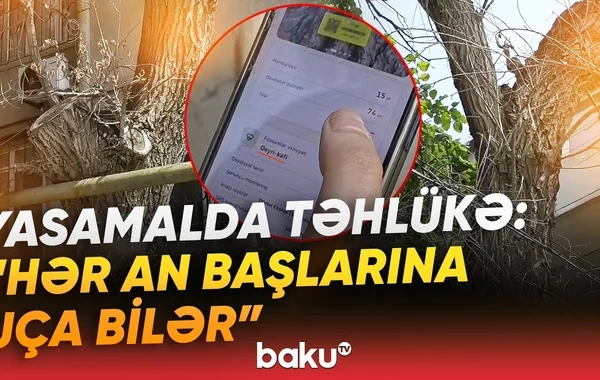 Yasamal sakinləri qorxu içində: Dəhşət saçan problemi kim həll etməlidir? - VİDEO