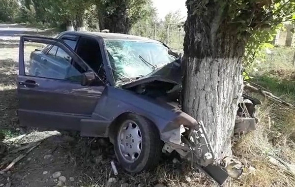 Oğuzda avtomobil ağaca çırpıldı, bir ailənin üç üzvü xəsarət aldı