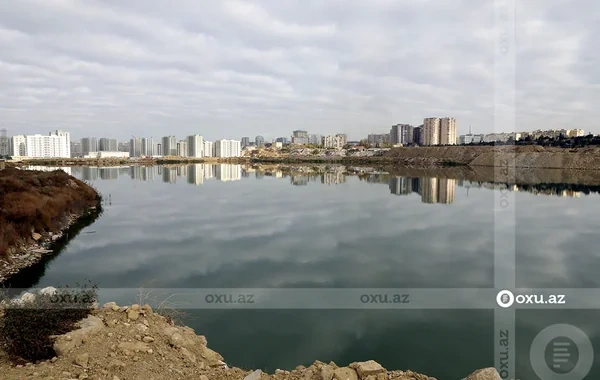 Qanlı göldə ekoloji təhlükə: Onlarla ölü balıq sahilə çıxır - VİDEO