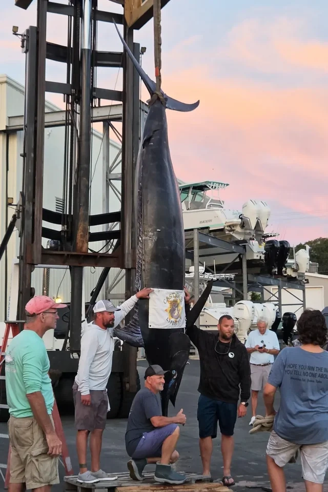 ABŞ-də iki balıqçı tarixdə ikinci ən böyük mavi marlin balığını tutub - FOTO