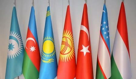TÜRKPA Türkiyə bayrağının yandırılmasını qınadı