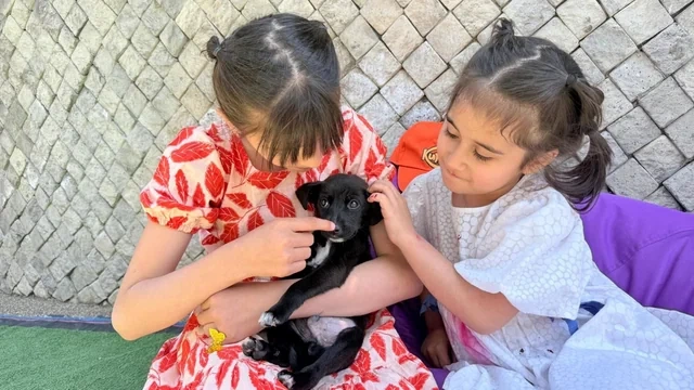 Bakı Zooloji Parkında Uşaqların Beynəlxalq Müdafiəsi Günü münasibətilə bayram tədbiri keçirilib
