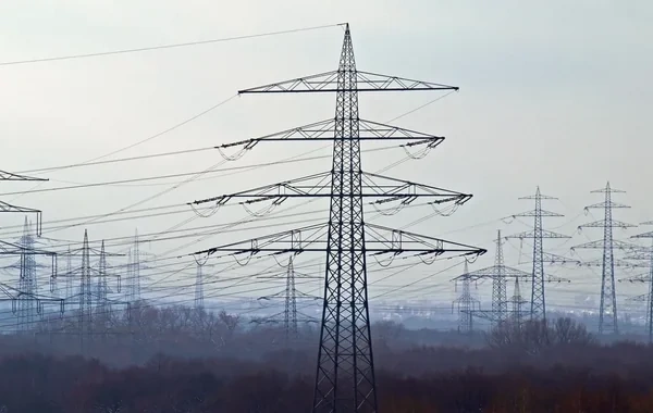 "Azərenerji" rəsmisi: "Elektrik enerjisinə tələbat növbəti beş ildə 4 qiqavat artacaq"