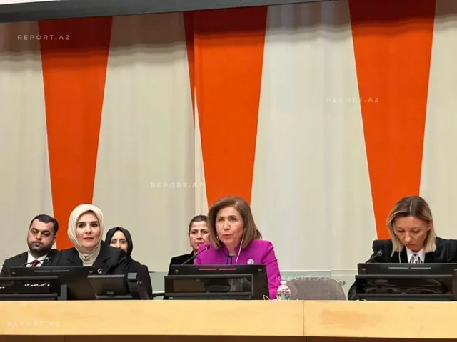 BMT-nin iclasında qadınların zorakılıqdan müdafiəsi ilə bağlı Azərbaycanın təcrübəsi paylaşılıb