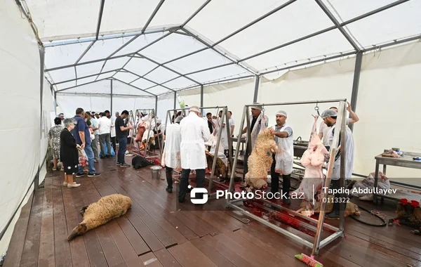 İşğaldan azad edilmiş ərazilərdə səyyar heyvan kəsimi məntəqələri qurulacaq