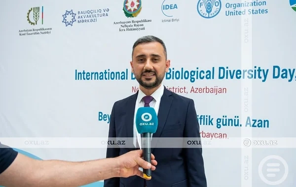 Ceyhun Əliyev: "Bu ay 150 min nərə balığının Xəzərə buraxılması nəzərdə tutulub"
