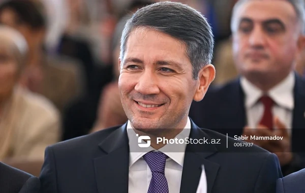 Anar Kərimova daha bir vəzifə verildi