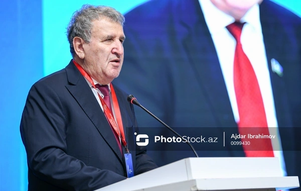 İsa Həbibbəyli: "Televiziyada ana dili ilə bağlı proqramların təşkilinə yenidən baxılmalıdır"