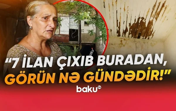 "O qədər bərbad vəziyyətdədir ki, evdən yeddi ilan çıxıb" - Neft milyonçusunun Mərdəkandakı mülkü BAXIMSIZ HALDA - VİDEO