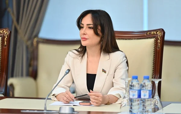 Deputatdan təklif: "Elektron nəzarət mexanizmi yaradılsın"