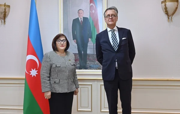 Milli Məclisin sədri Sahibə Qafarova Almaniyanın Azərbaycandakı səfiri ilə görüşüb - FOTO