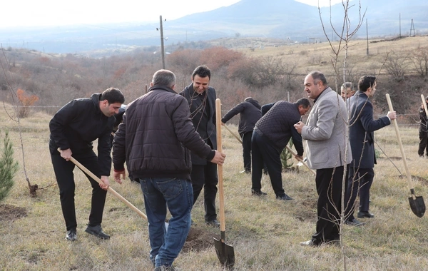Xocalıda Heydər Əliyevin anım günü münasibətilə ağacəkmə aksiyası keçirilib
