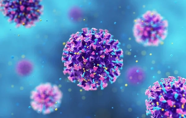 Hantavirus təhlükəsi: Yeni pandemiya gözlənilir? - Mütəxəssis RƏYİ