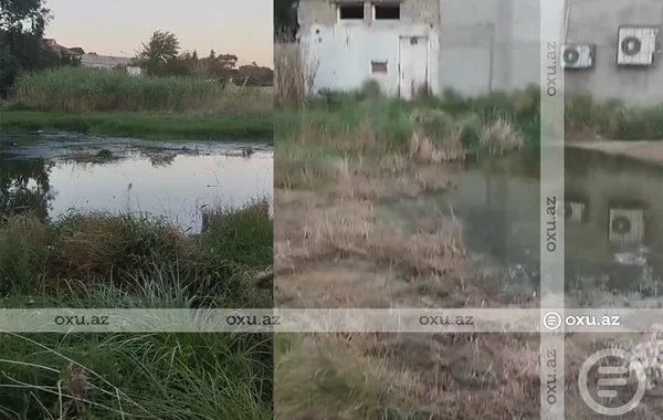 Zabratda kanalizasiya suyu stadiona axır: Sakinlər üfunətdən beziblər - VİDEO