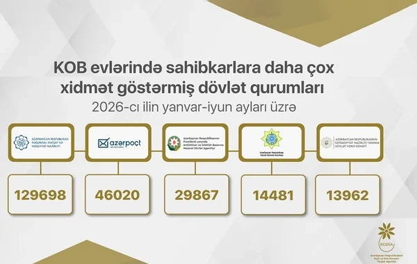 Sahibkarlar hansı xidmətlər üçün KOB evlərinə müraciət ediblər?