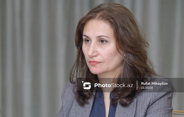 Taliyə İbrahimova: "Qanunda "ayrı-seçkilik" termininin nələri ehtiva etməsi də əksini tapmalıdır"