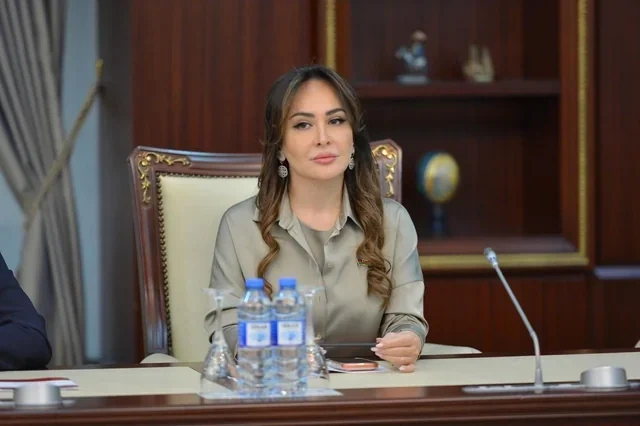 Türküstan görüşü: Ortaq maraqlar barədə praqmatik mövqe