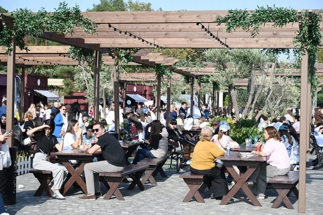 Zeytun Festivalının açılışı olub - Foto