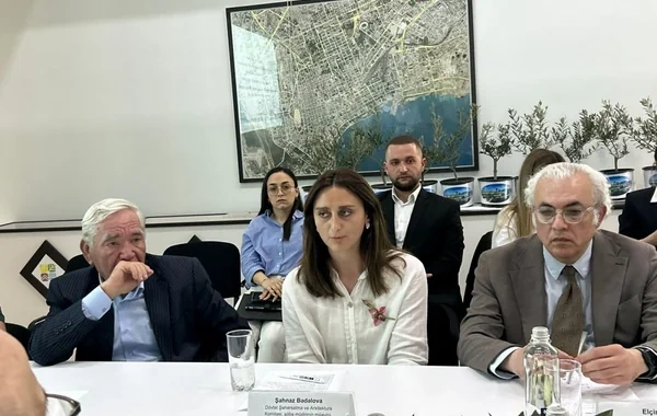 Komitə rəsmisi: "Xüsusi qayda yoxdursa, memara "bunu belə edin" demək mümkün deyil"