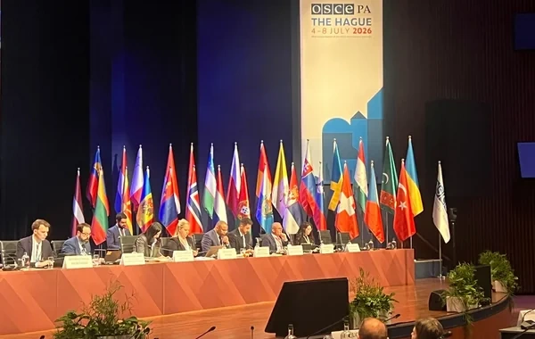ATƏT PA-nın sessiyasında Azərbaycanın Rəqəmsal İnkişaf Şurasının fəaliyyəti barədə məlumat verilib - FOTO