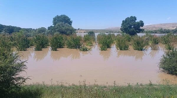 Kürdə su artdı: körpü su altında qaldı - Foto