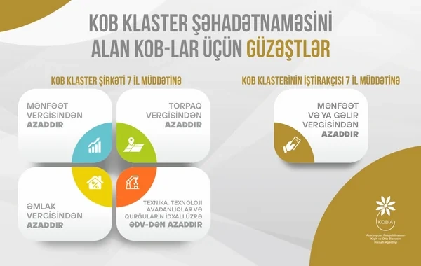 Klasterləşmə - sahibkarlar üçün imkanlar və perspektivlər