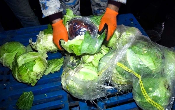 "Kələm" kisələrində gizlədilmiş 19 kiloqram narkotik: Biləsuvar gömrüyündən uğurlu əməliyyat