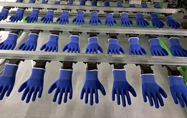 Xankəndidə 3.5 milyon manat investisiya ilə əlcək fabriki fəaliyyətə başlayıb - FOTO
