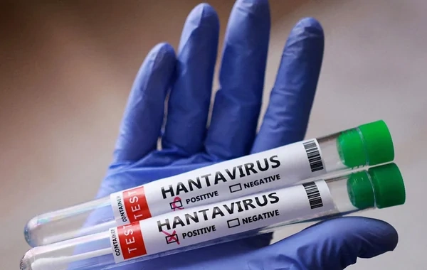 Ölüm halları artır: Çili hantavirusla bağlı fövqəladə addım atdı