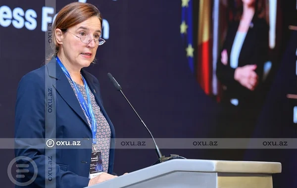 Aİ Azərbaycana investisiya cəlb etmək üçün ciddi işlər aparır