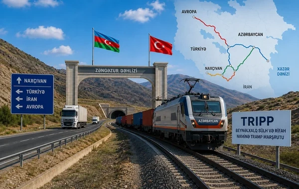 Təkcə nəqliyyat deyil, sülh və inkişaf dəhlizi: Naxçıvanın gələcək rolu