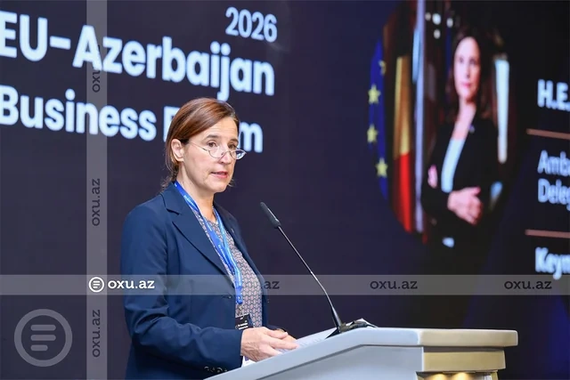 Aİ-nin iki milyard avroluq investisiya planı: Azərbaycanda hansı layihələr dəstəklənəcək?
