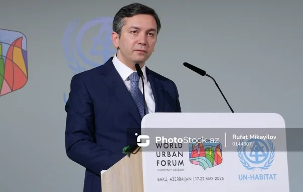 Yalçın Rəfiyev: "İqlim dəyişikliyi diplomatiyanı da sınağa çəkir"
