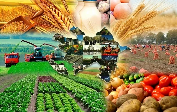 Bölgələrdə biznesin inkişafı üçün yeni dövr: 2,2 milyard manatlıq dəstək işə düşür